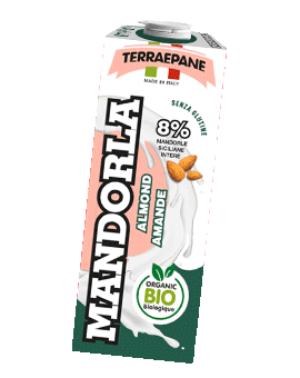 Terraepane